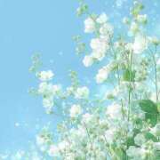 ヒメ日記 2026/04/16 11:09 投稿 りょう 千葉人妻花壇