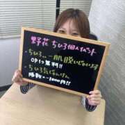 ヒメ日記 2025/11/28 16:40 投稿 野花ちひろ デリス新宿