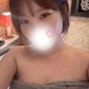 ヒメ日記 2026/01/31 14:04 投稿 野花ちひろ デリス新宿