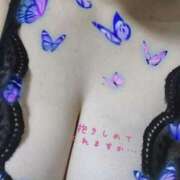 ヒメ日記 2025/03/14 13:25 投稿 まき 福岡飯塚田川ちゃんこ