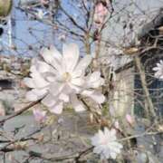 ヒメ日記 2025/03/30 13:55 投稿 まき 福岡飯塚田川ちゃんこ