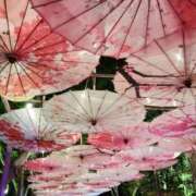 ヒメ日記 2025/11/15 17:05 投稿 まき 福岡飯塚田川ちゃんこ