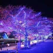 ヒメ日記 2025/11/23 21:20 投稿 まき 福岡飯塚田川ちゃんこ