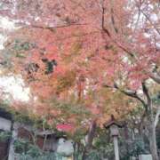 ヒメ日記 2025/12/13 16:25 投稿 まき 福岡飯塚田川ちゃんこ