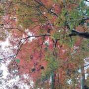 まき すみません。 福岡飯塚田川ちゃんこ