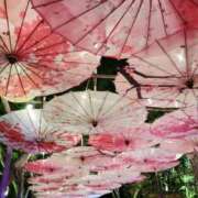 ヒメ日記 2026/03/15 00:15 投稿 まき 福岡飯塚田川ちゃんこ