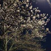 ヒメ日記 2026/04/02 12:55 投稿 まき 福岡飯塚田川ちゃんこ