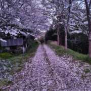 ヒメ日記 2026/04/28 11:45 投稿 まき 福岡飯塚田川ちゃんこ
