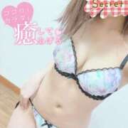 ヒメ日記 2025/01/28 18:12 投稿 はんな 京都デリヘル倶楽部FIRST