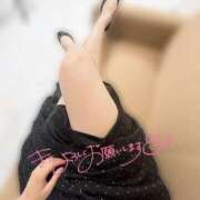 ヒメ日記 2025/02/19 20:27 投稿 はんな 京都ホテヘル倶楽部