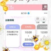 ヒメ日記 2025/02/08 15:41 投稿 おうか 横浜人妻ヒットパレード（シンデレラグループ）