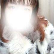 ヒメ日記 2025/12/27 13:39 投稿 おうか 横浜人妻ヒットパレード（シンデレラグループ）