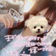 ヒメ日記 2025/10/08 18:56 投稿 あんな 吉祥寺角海老