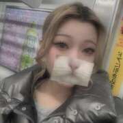 ヒメ日記 2025/03/08 09:42 投稿 ももあ ハッピーハウス