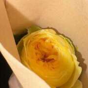 ヒメ日記 2025/07/10 17:41 投稿 ももあ ハッピーハウス