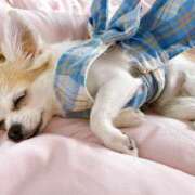 ヒメ日記 2025/05/20 14:06 投稿 りいさ 横浜人妻ヒットパレード（シンデレラグループ）