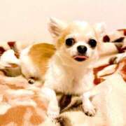 りいさ かわよい? 横浜人妻ヒットパレード（シンデレラグループ）