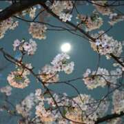 ヒメ日記 2025/04/11 10:06 投稿 さき 初体験