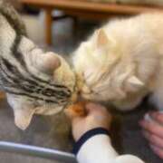 ヒメ日記 2025/06/06 10:23 投稿 さき 初体験