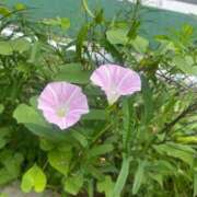 ヒメ日記 2025/08/09 12:31 投稿 さき 初体験