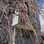 ヒメ日記 2025/02/21 23:28 投稿 まみ 錦糸町人妻セレブリティ（ユメオト）