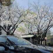 ヒメ日記 2025/04/06 10:00 投稿 まみ 錦糸町人妻セレブリティ（ユメオト）