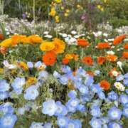 ヒメ日記 2025/04/18 12:00 投稿 まみ 錦糸町人妻セレブリティ（ユメオト）