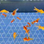 ヒメ日記 2025/05/27 10:00 投稿 まみ 錦糸町人妻セレブリティ（ユメオト）