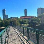 ヒメ日記 2025/05/29 14:29 投稿 夢月ちあ 全裸革命orおもいっきり痴漢電車