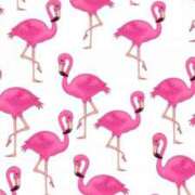 ヒメ日記 2025/04/02 16:05 投稿 えり 丸の内