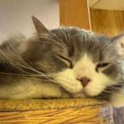 ヒメ日記 2025/06/11 17:25 投稿 えり 丸の内