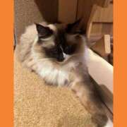 ヒメ日記 2025/08/17 15:15 投稿 えり 丸の内