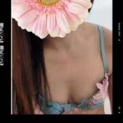 ヒメ日記 2026/03/15 14:28 投稿 綾瀬 りほ(体験) 人妻の雫　福山店