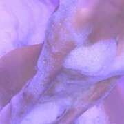 ヒメ日記 2025/02/13 01:16 投稿 トキ クラブバレンタイン神戸西店