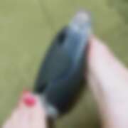 ヒメ日記 2025/10/15 17:46 投稿 三二一（ミニー） ビザールクリニック