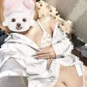 ヒメ日記 2025/04/03 15:47 投稿 さりな 全裸のいいなり美女OR満員ちかん電車