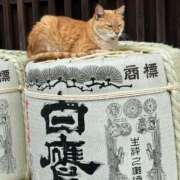 ヒメ日記 2025/04/06 00:19 投稿 芹沢　雪音 タッチVIP