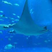 ヒメ日記 2025/06/08 07:48 投稿 芹沢　雪音 タッチVIP