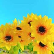 ヒメ日記 2025/09/02 21:30 投稿 さり めっちゃスイスク梅田店