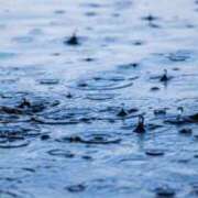 ヒメ日記 2025/01/29 13:59 投稿 キララ ロボットデリヘル日本橋基地