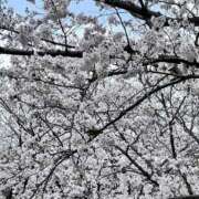 ヒメ日記 2026/02/04 21:38 投稿 かんな スピードエコ難波店