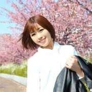 ヒメ日記 2025/03/31 22:03 投稿 新妻涼子 ハールブルク