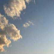 ヒメ日記 2025/04/16 17:49 投稿 新妻涼子 ハールブルク