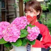 ヒメ日記 2025/05/10 16:15 投稿 新妻涼子 ハールブルク