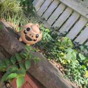 ヒメ日記 2025/07/25 22:10 投稿 新妻涼子 ハールブルク