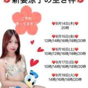 ヒメ日記 2025/08/14 11:47 投稿 新妻涼子 ハールブルク