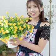 ヒメ日記 2025/08/20 14:15 投稿 新妻涼子 ハールブルク