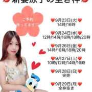 ヒメ日記 2025/09/22 21:34 投稿 新妻涼子 ハールブルク