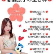 ヒメ日記 2025/09/23 16:15 投稿 新妻涼子 ハールブルク