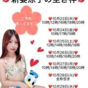 ヒメ日記 2025/10/23 09:45 投稿 新妻涼子 ハールブルク